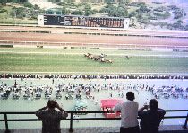 ���c���n��