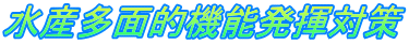 ���Y���ʓI�@�\�����΍�