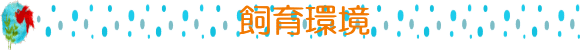 ̕\