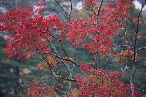 fall2