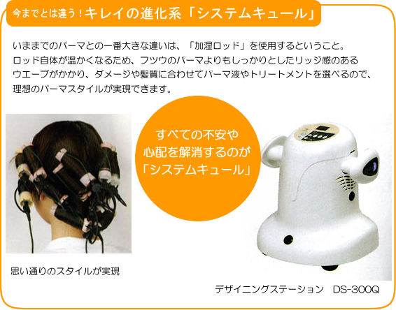 LC̐inVXeL[