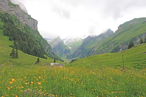 Seealpsee