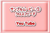 Tv[r[ @ NXtF[h  You Tube
