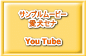 Tv[r[ Zi  You Tube