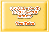 Tv[r[ B Vv~bNX5 Zi  You Tube