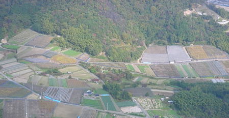 Nakanochaya Farm Area