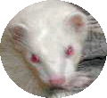 r[Ƃ̏o