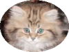 Ƃ̏o
