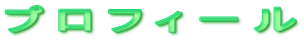 �v���t�B�[��