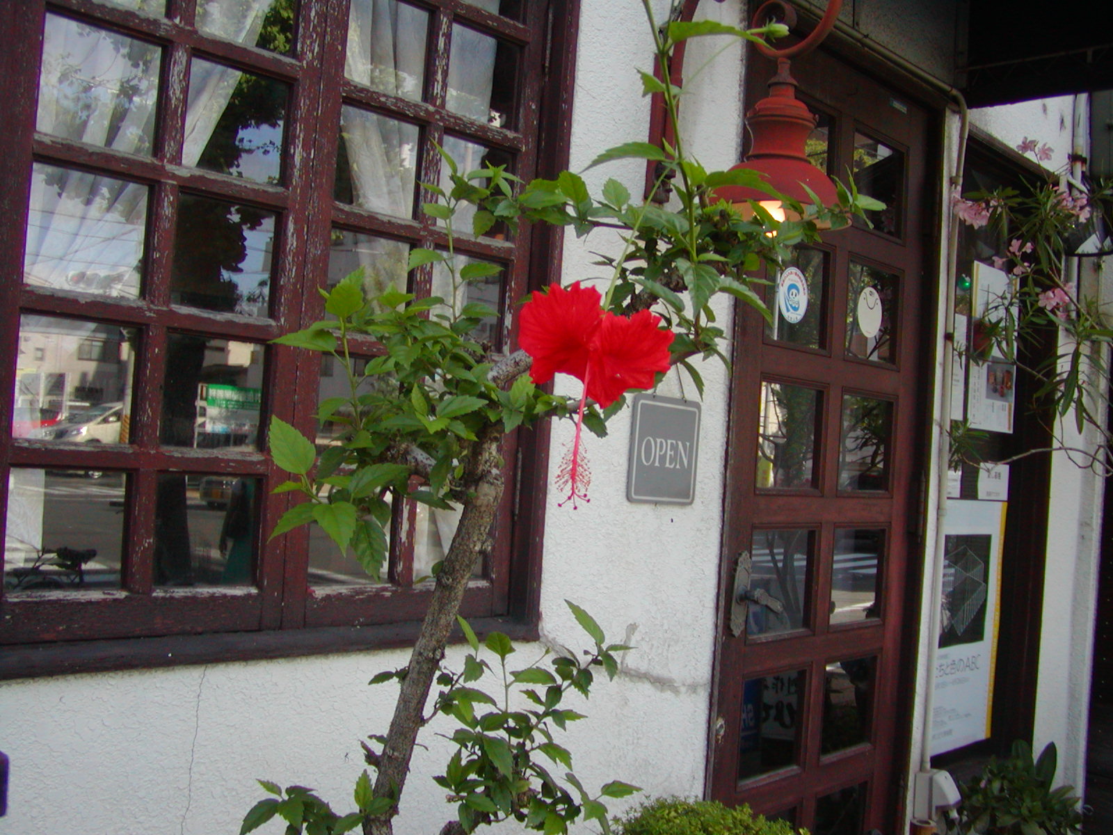 P1010032