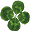 g[yCg