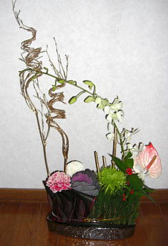 2011 お正月