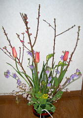 春の花