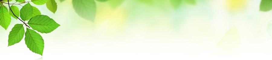 zH[Forest real estate