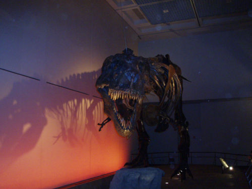 Tyranno