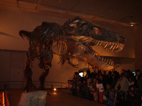Tyranno