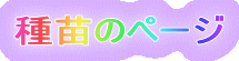 c̃y[W