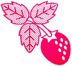 すまいるふぁーむ藤本のいちごです