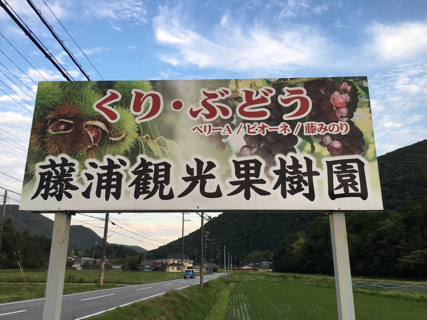 藤浦 観光 果樹 園