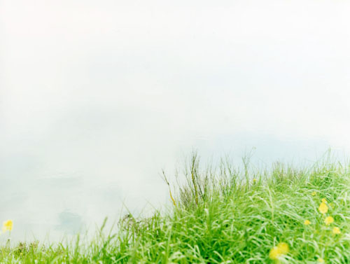 Levee2