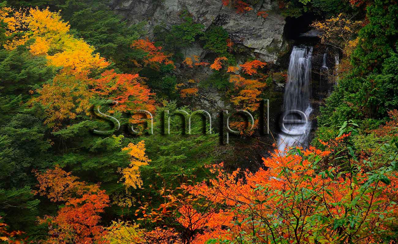 風景４