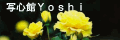 写心館Yoshi