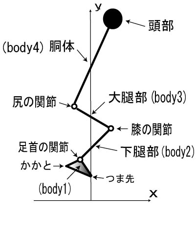 C[W