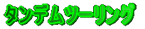 �^���f���c�[�����O
