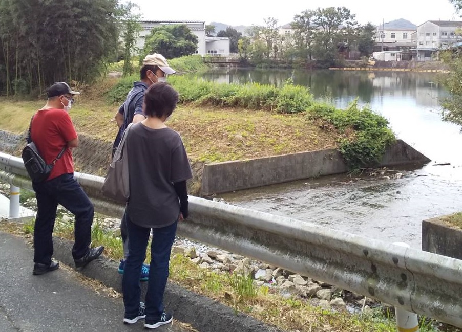 大島川