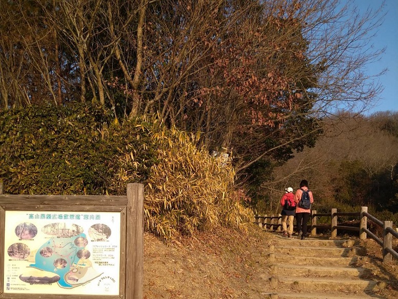 高山