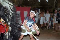 Bfuji29