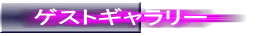 ゲストギャラリー