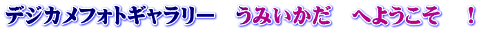 デジカメフォトギャラリー　うみいかだ　へようこそ　！