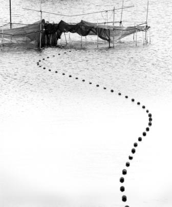 No.8