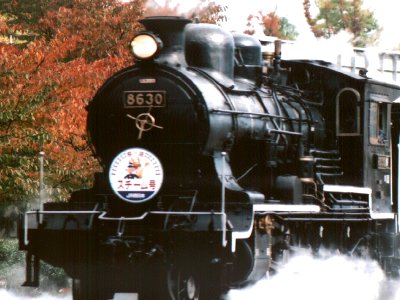 No.5