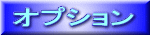 �I�v�V���� 