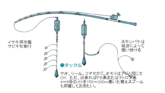 CTLނ̕Wd|