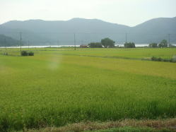 �]���w���