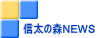 信太の森ＮＥＷＳ