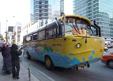 Hippo's Bus