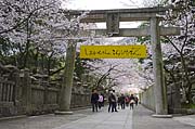 䗅{En