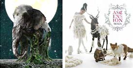 MISIA"ASCENSION"
