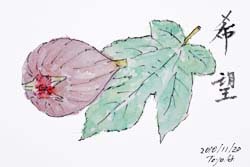 �G�莆�E��������