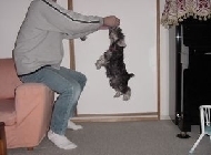 photo10.jpg