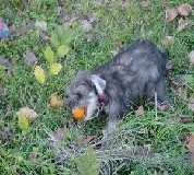 photo11.jpg