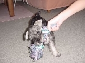 photo4.jpg