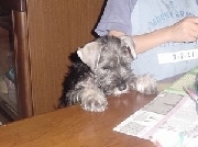 photo5.jpg