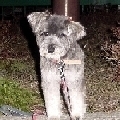 photo17.jpg
