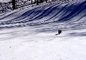 photo27.jpg