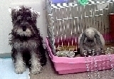 photo28.jpg